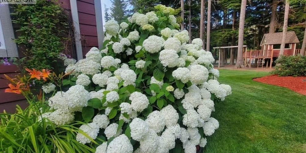 94 COHO AVENUE Kitimat Photo 37 94 COHO AVENUE Kitimat Photo 37